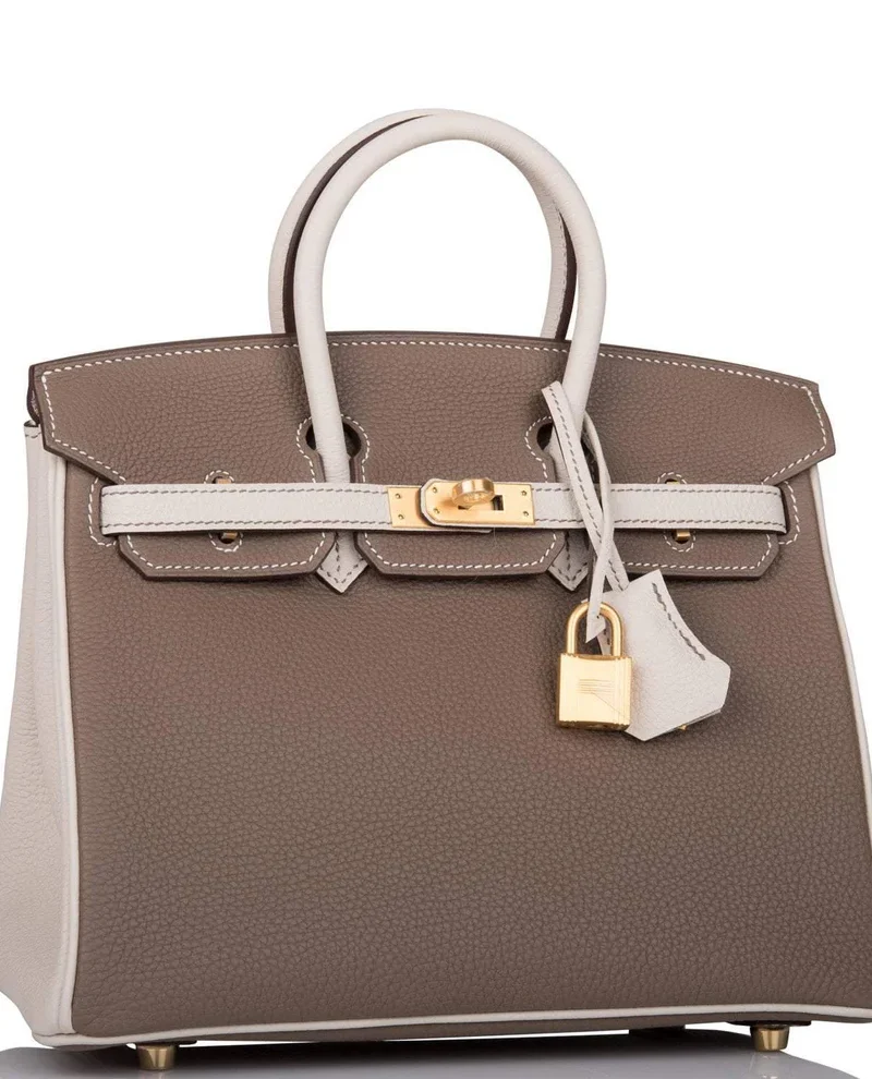 Women's Fashion Hermes Birkin 25 Etoupe and Craie Togo Brushed Gold Hardware