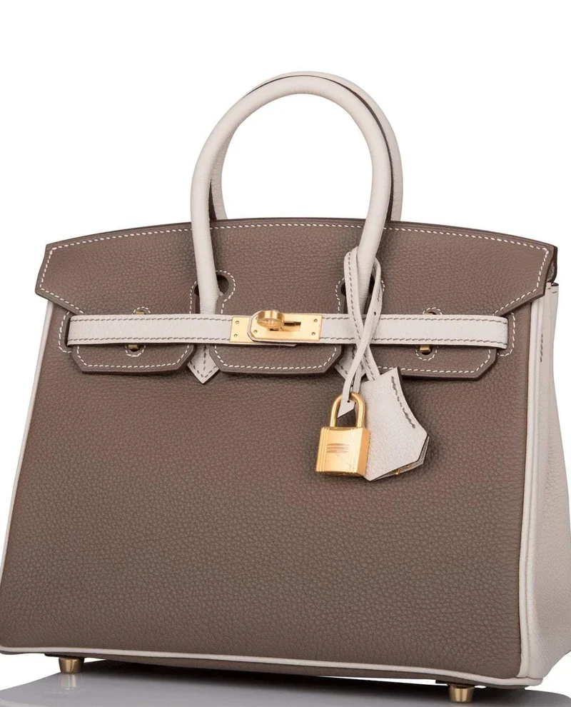 Women's Fashion Hermes Birkin 25 Etoupe and Craie Togo Brushed Gold Hardware - Image 5